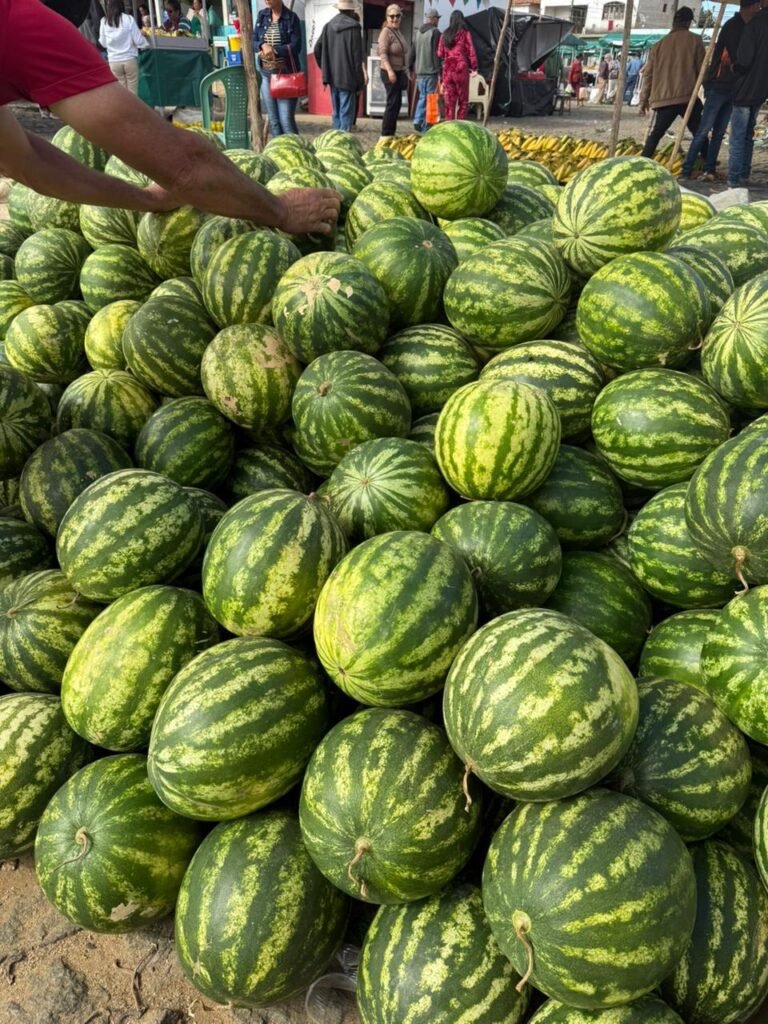 Melancia Feira de Maracás BA